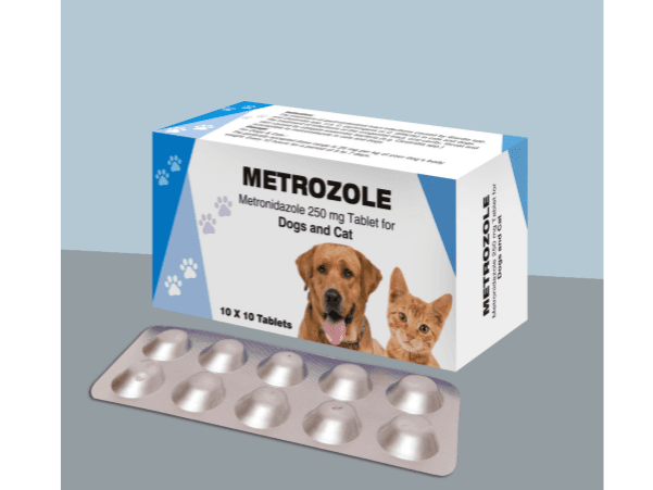 Metronidazole for dogs and cats