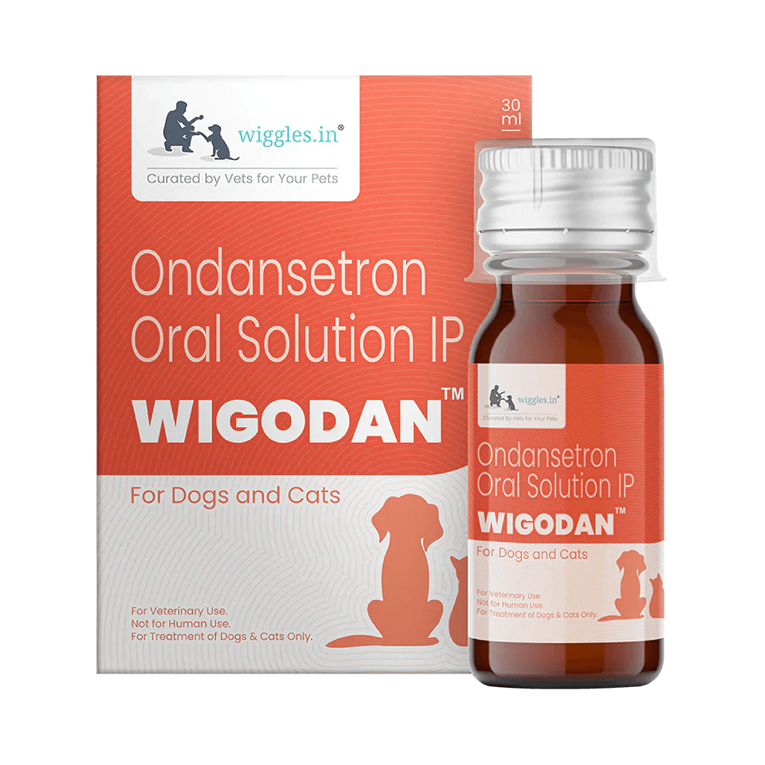 Ondansetron for Dogs and Cats