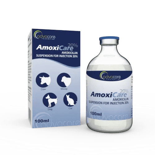 amoxicillin for dogs and cats