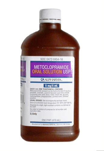 Metoclopramide for Dogs and Cats