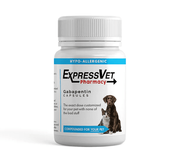 Gabapentin for Dogs and Cats