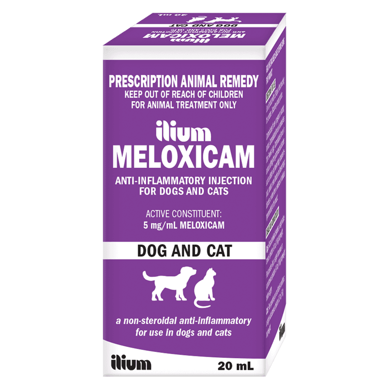 Meloxicam for Dogs and Cats