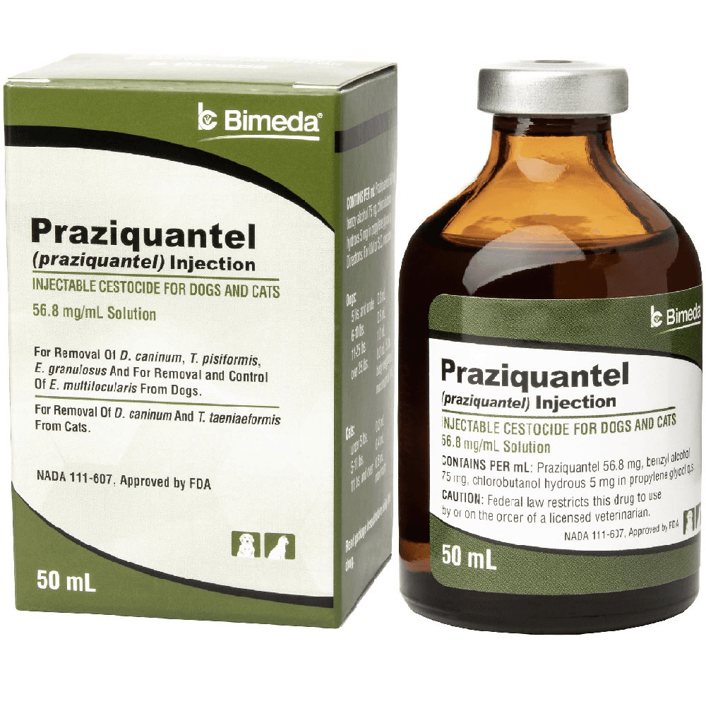 Praziquantel for Dogs and Cats