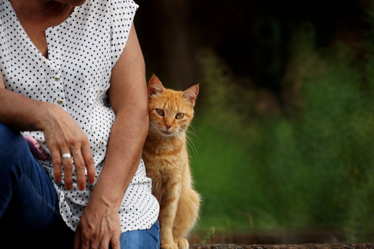 do cats think you are their mother