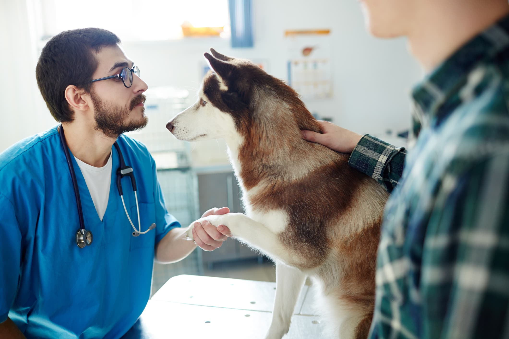 Pet owner with a healthy dog and cat