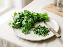 Cilantro