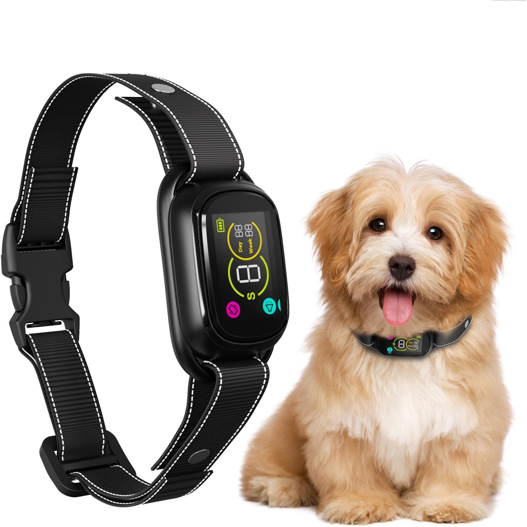Black PATPET electronic collar with display and a dog wearing the collar
