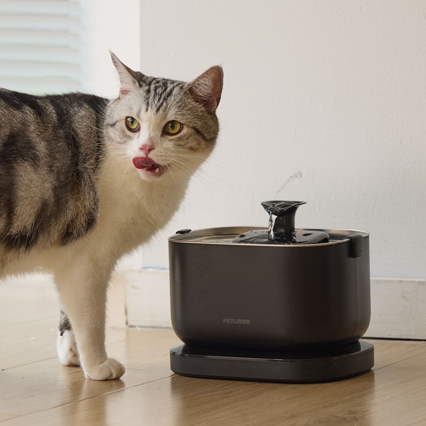 Petlibro Dockstream battery-operated cat water fountain and replacement wireless pump