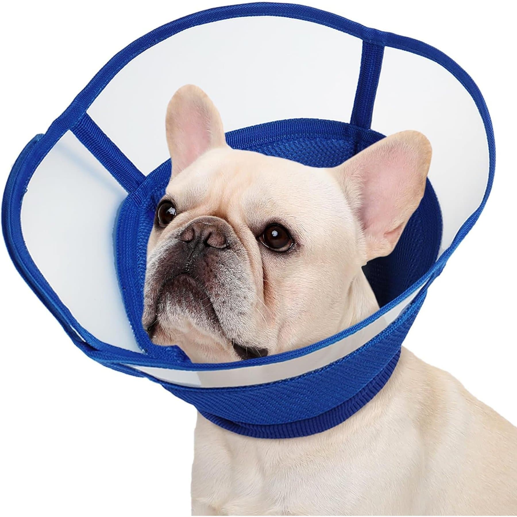 Kuoser Soft Cone Adjustable Recovery Dog Elizabethan Collar/E-Collar, Blue, Medium