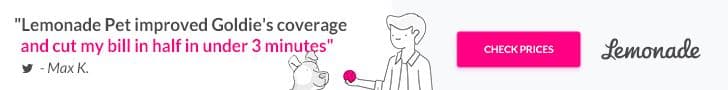 Lemonade pet insurance and preventative care banner