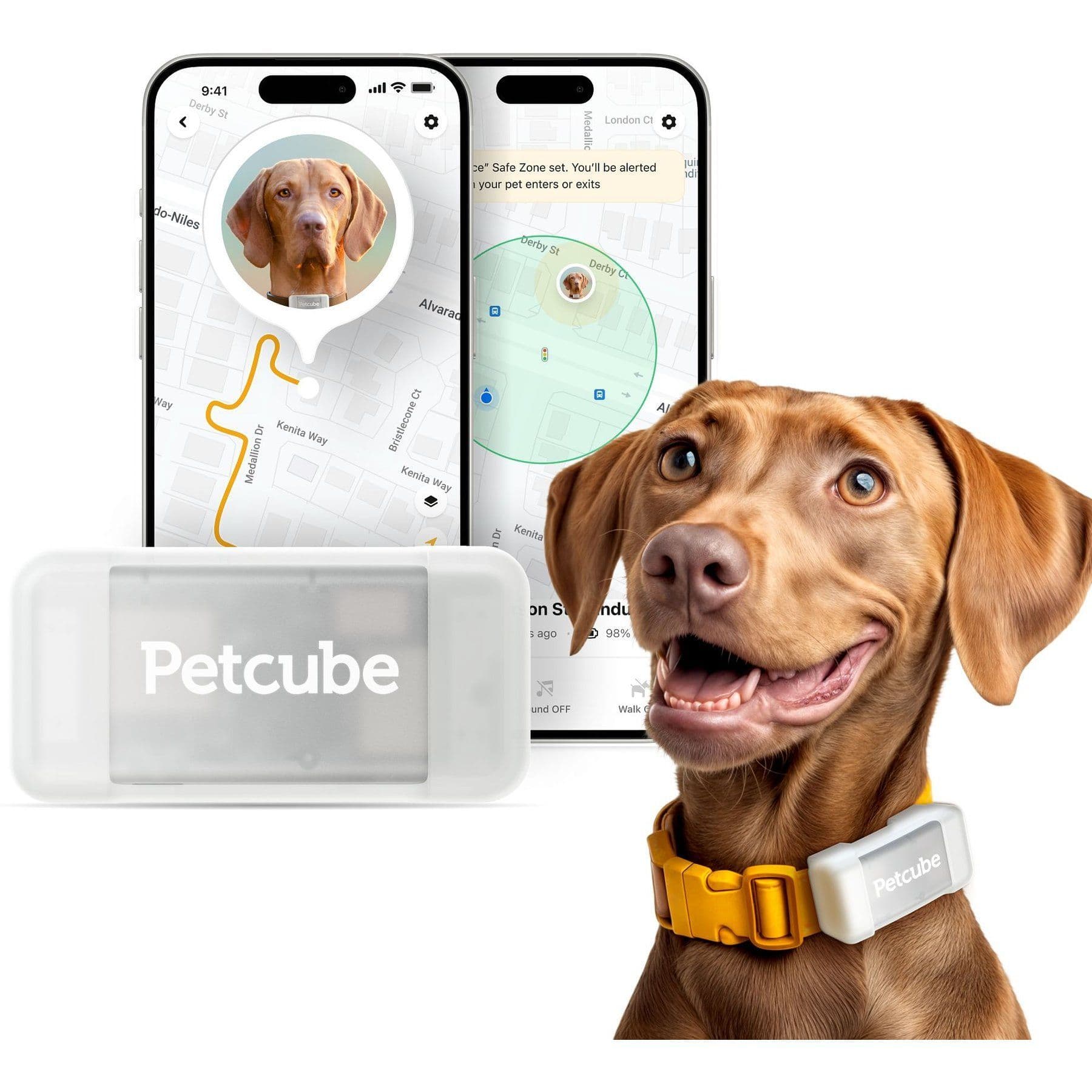 Petcube Dog GPS Tracker & Activity Monitor