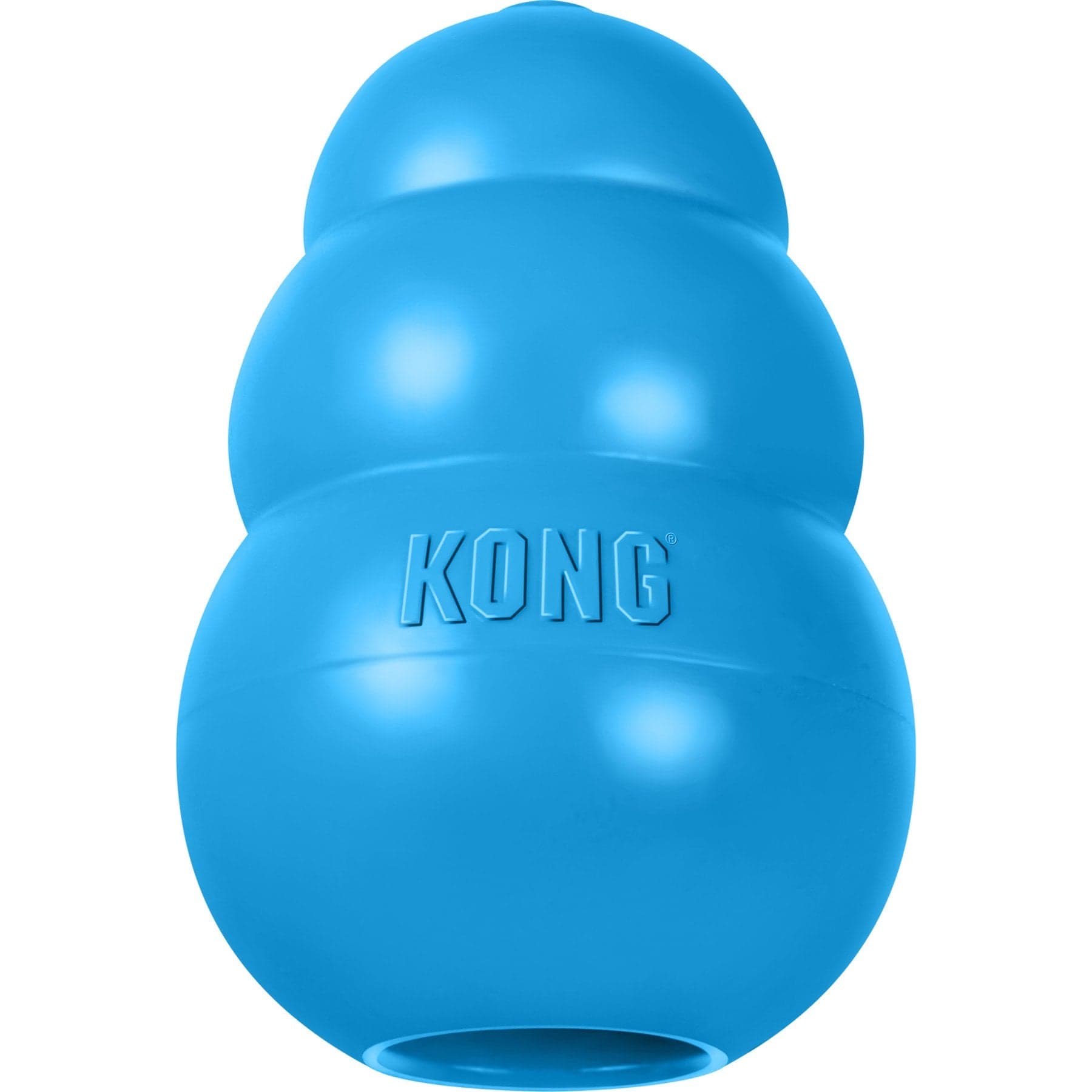 KONG Puppy Chew Dog Toy, Blue, Medium