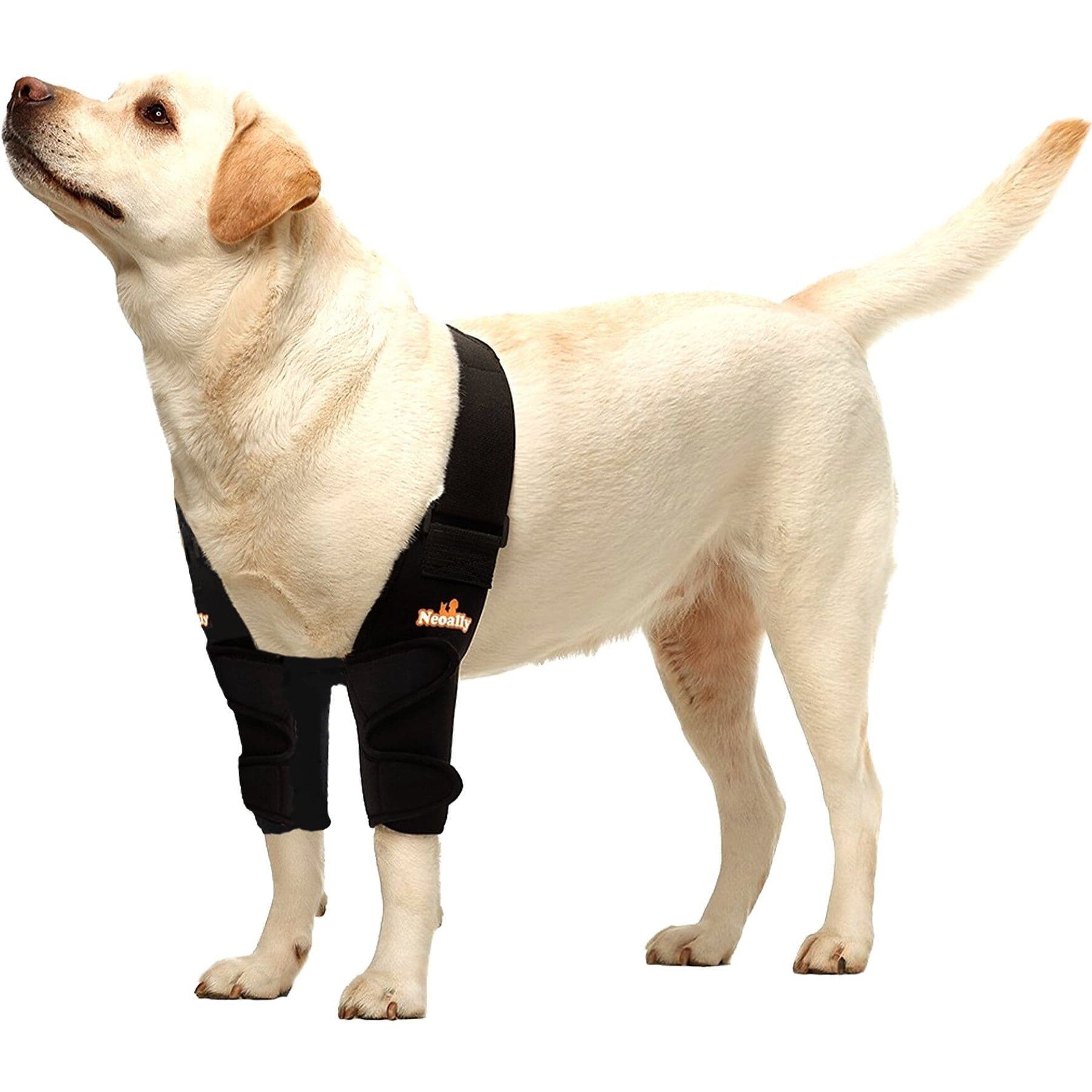 NeoAlly Elbow Protector Dog & Cat Support Brace, Both Legs, Large