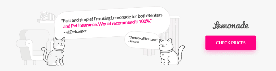 Lemonade pet insurance quote banner for cat owners