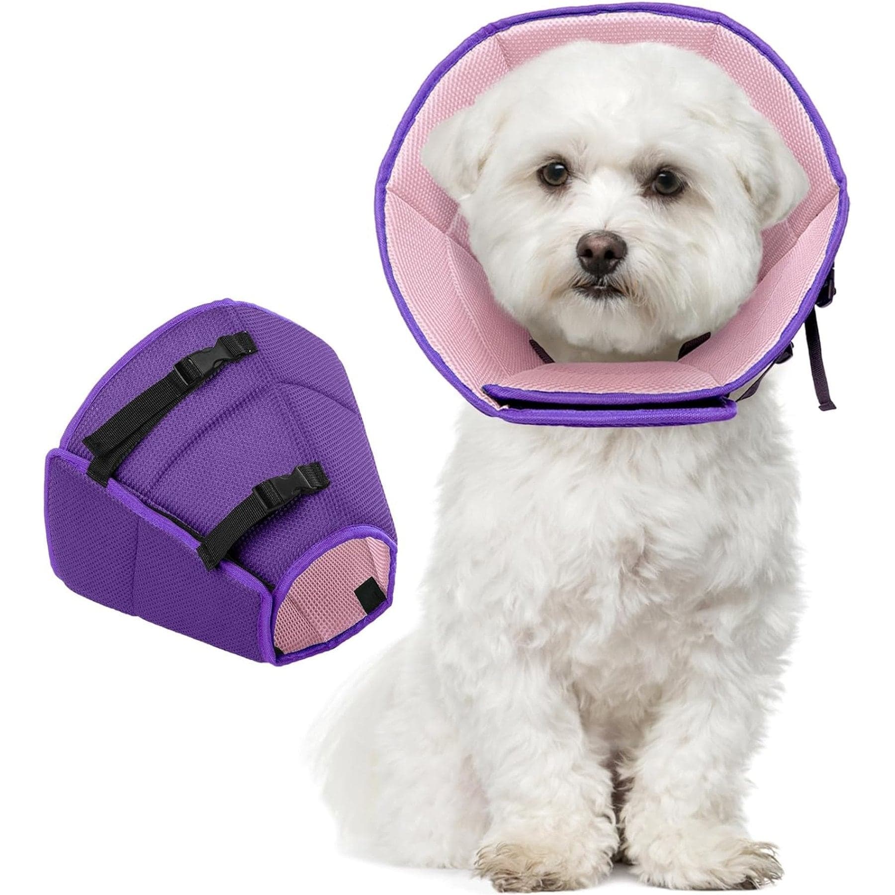 Kuoser Cone Recovery Elizabethan Collar/E-Collar for Dogs, Purple, Medium