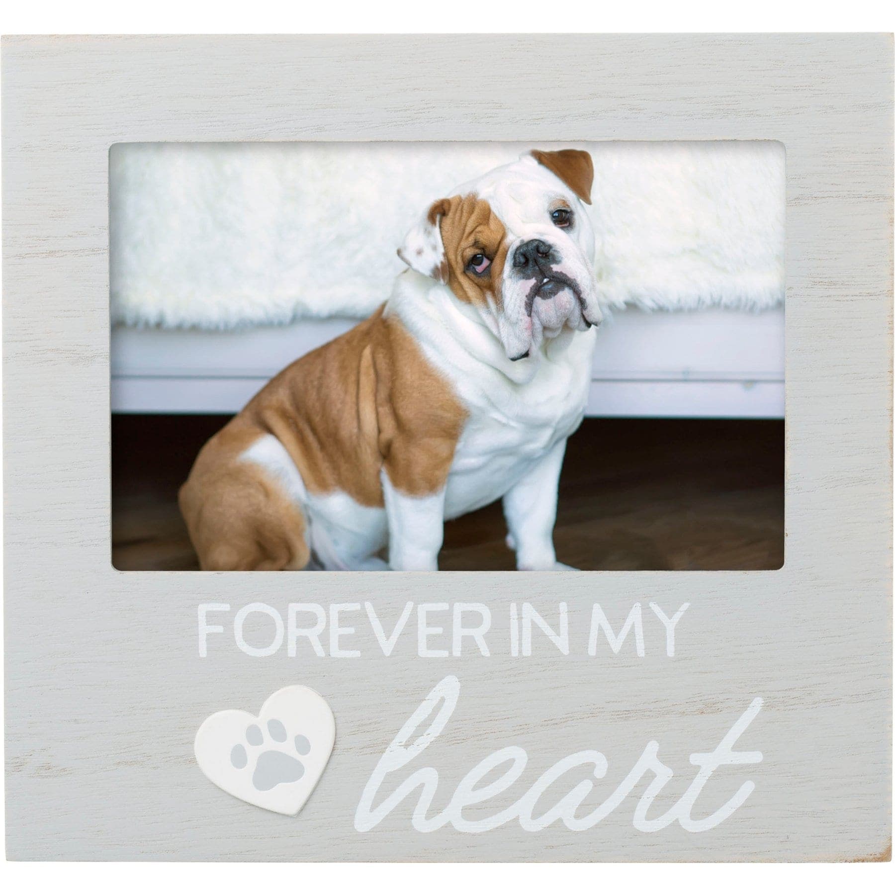 Pearhead Pet Forever In My Heart Memorial Keepsake Picture Frame