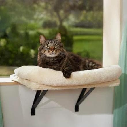Frisco cream plush cat window perch with removable bolster