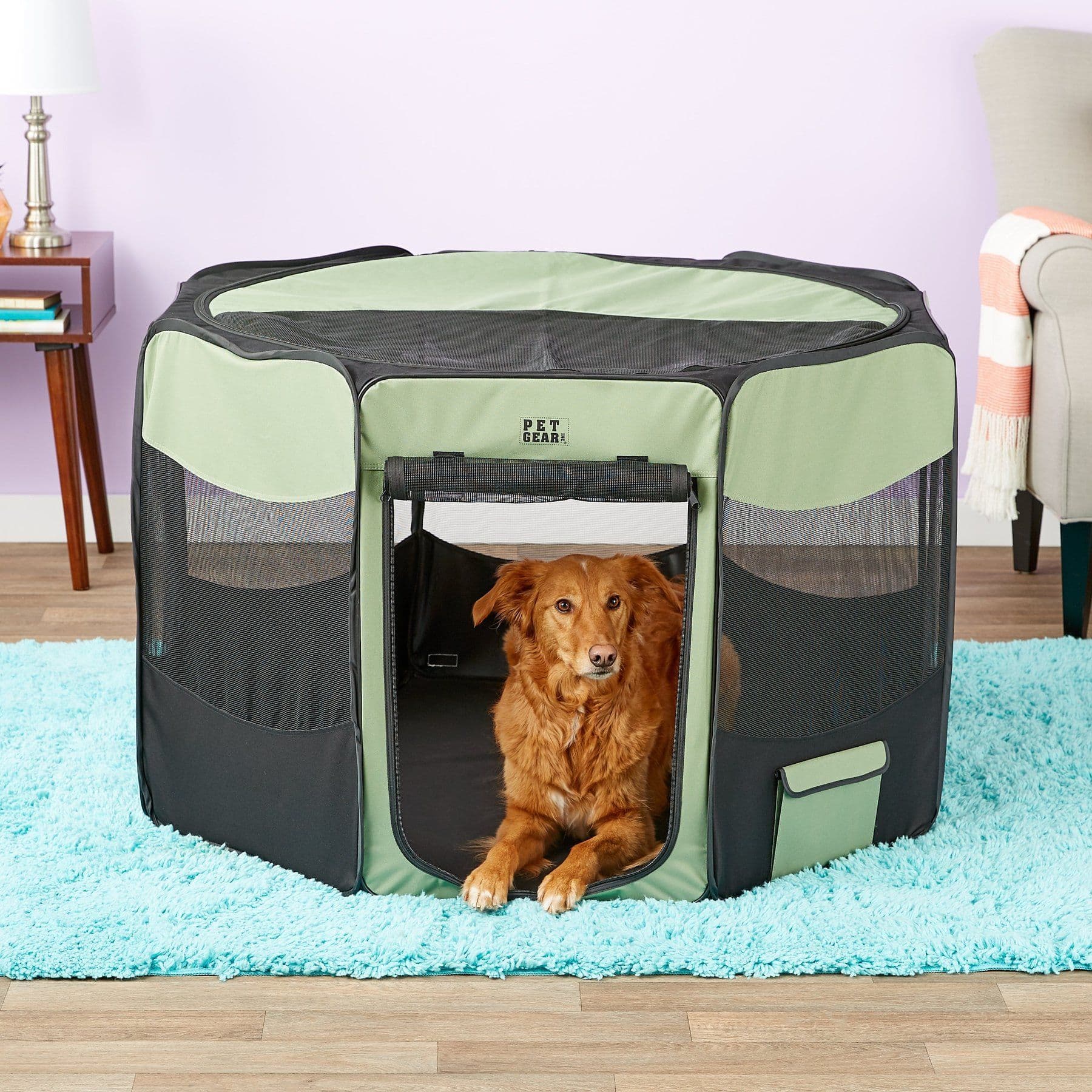 Pet Gear Travel Lite Soft-Sided Pet Pen - Sage, Large, up to 90-lbs