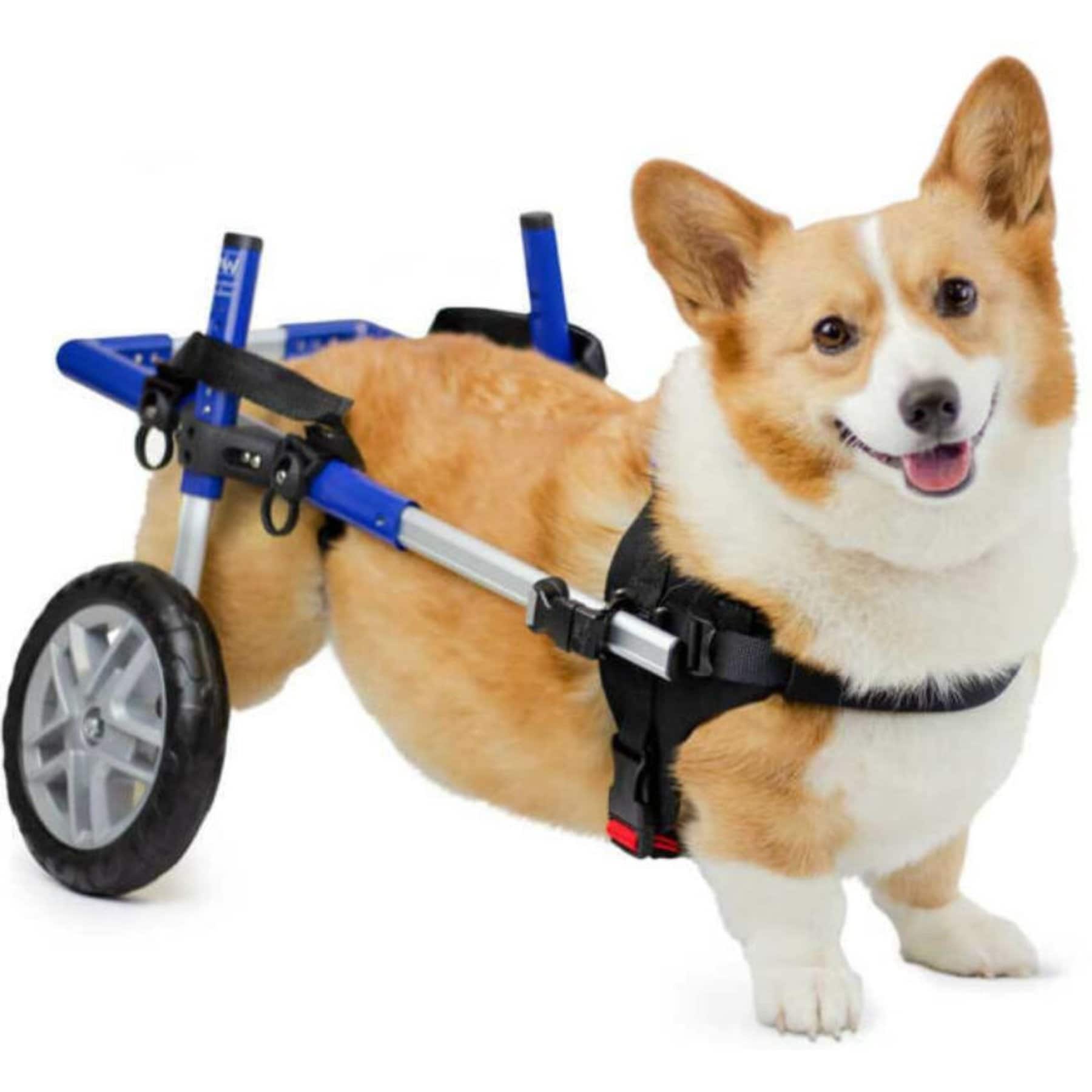 Walkin' Pets Walkin' Wheels Corgi Dog Wheelchair, Blue, Small: 8 to 11-in rear leg height