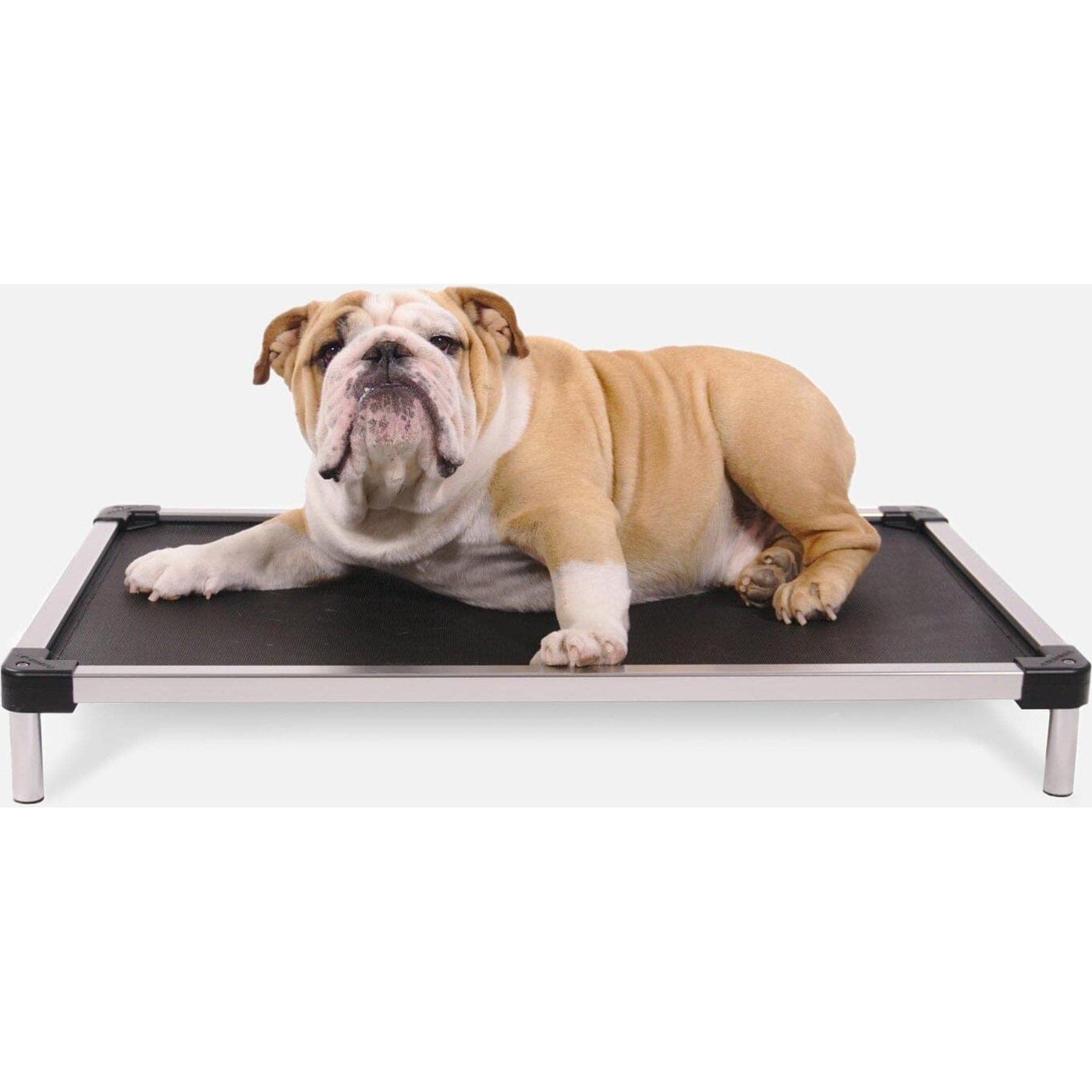 K9 Ballistics Chew Proof Armored Mesh Elevated Dog Bed, Black Mesh, Small