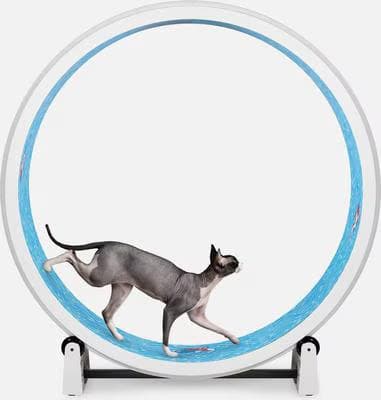 One Fast Cat Gen 7 cat exercise wheel in white with a blue koi pond foam running track