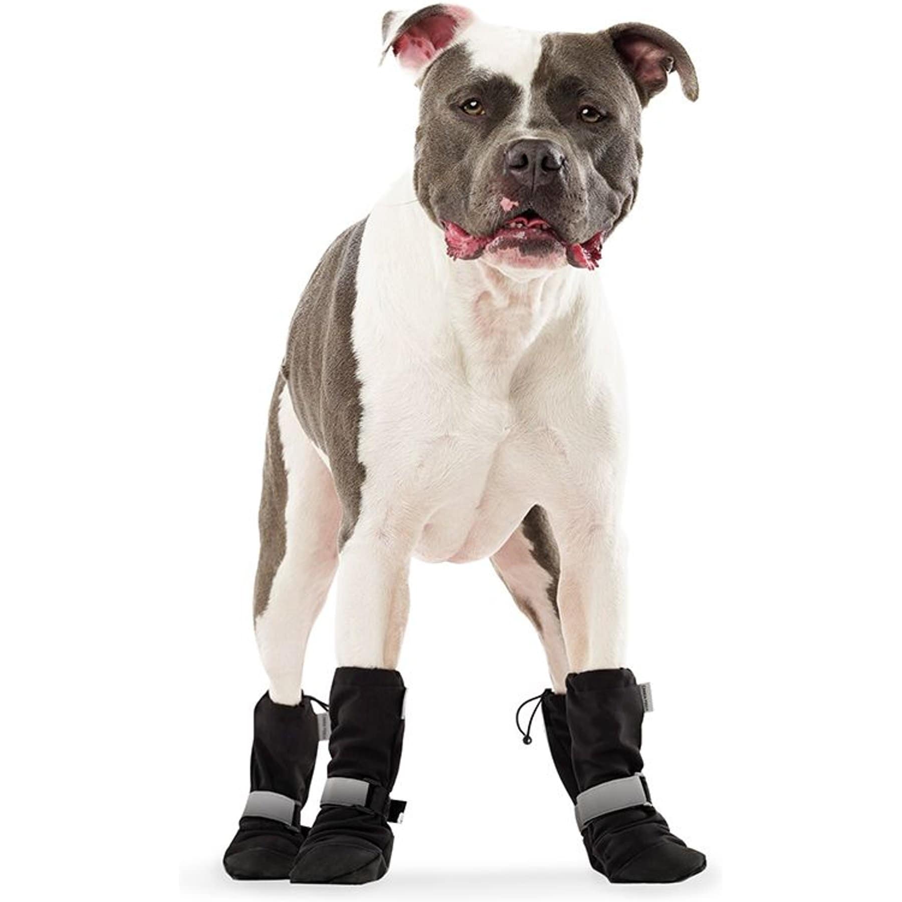 Canada Pooch Soft Shield Dog Boots, Black, size 3