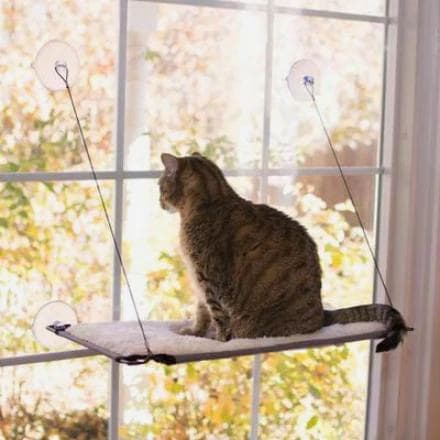 K&H natural Window Lounger cat perch mounted to window glass