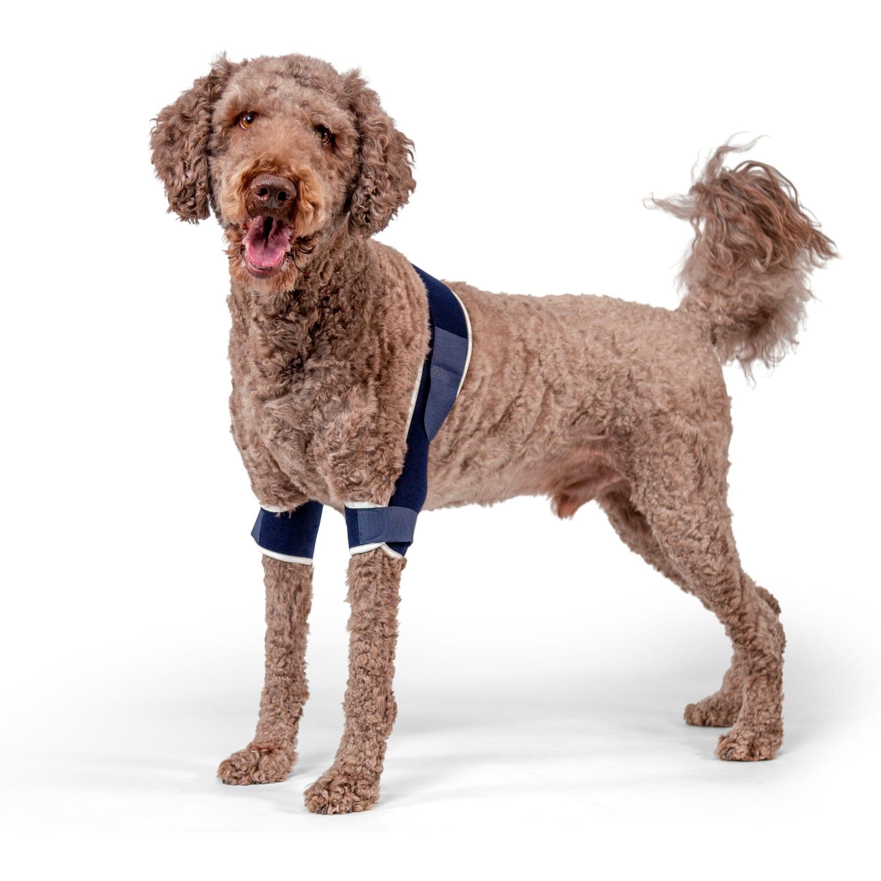 Balto Soft Plus Dog Double Elbow Brace, Large