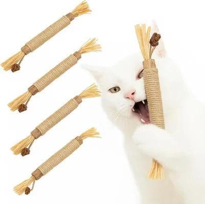 SunGrow silvervine teething chew sticks with catnip, 5-count, with a cat chewing one