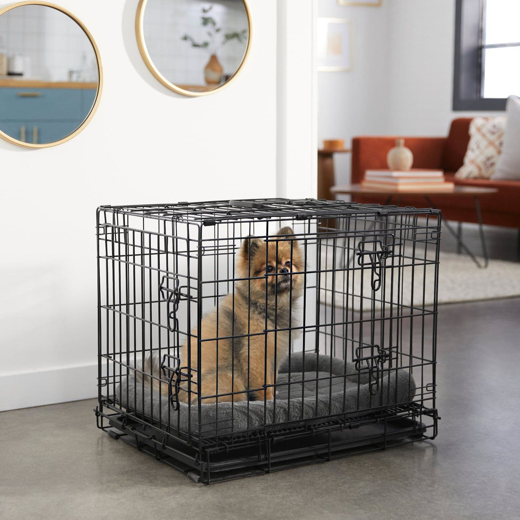 Frisco Heavy Duty All-in-1 Multi-Stage 3 Door Collapsible Wire Dog Crate, Small