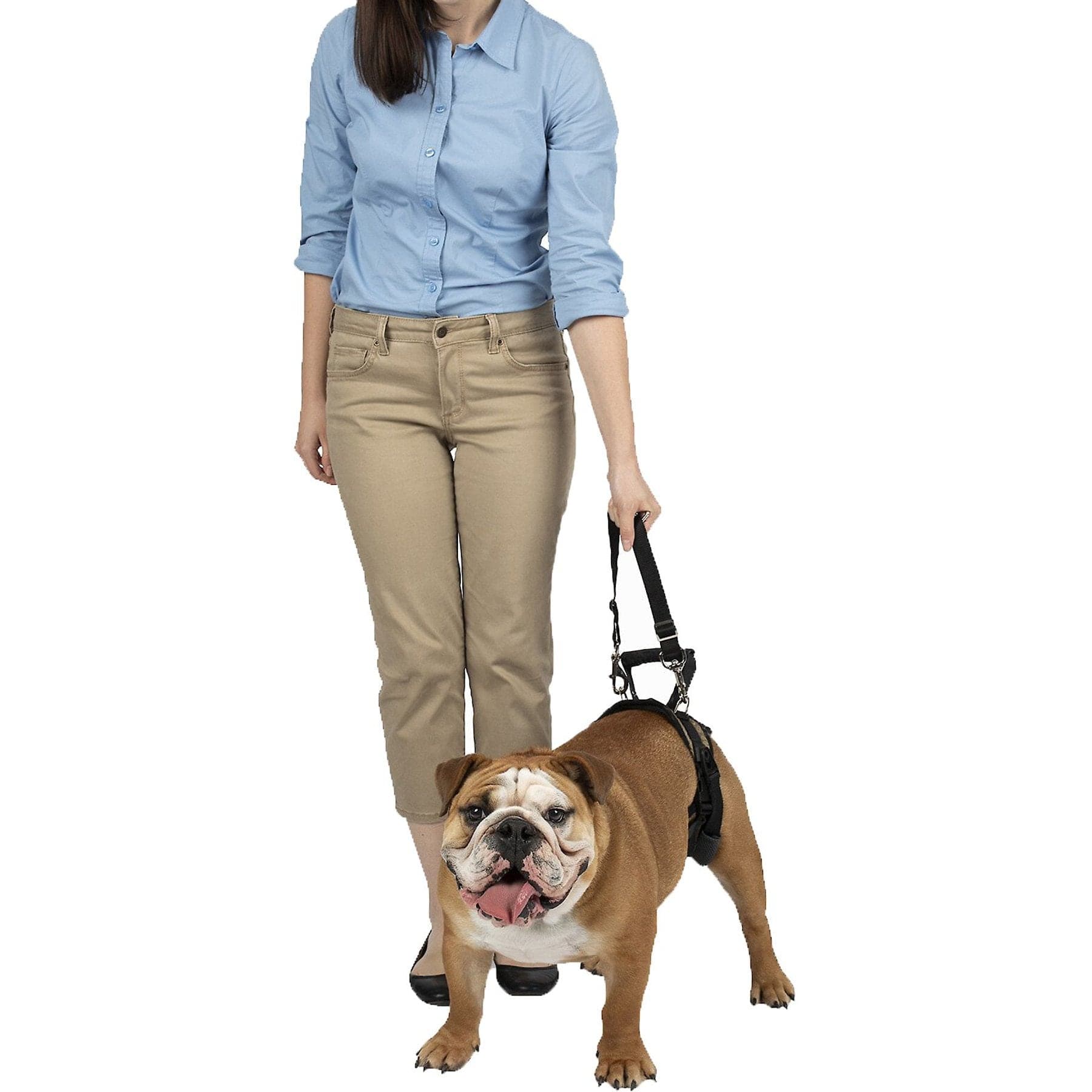 CareLift Rear Portion Lifting Aid Mobility Harness, Medium, Brown
