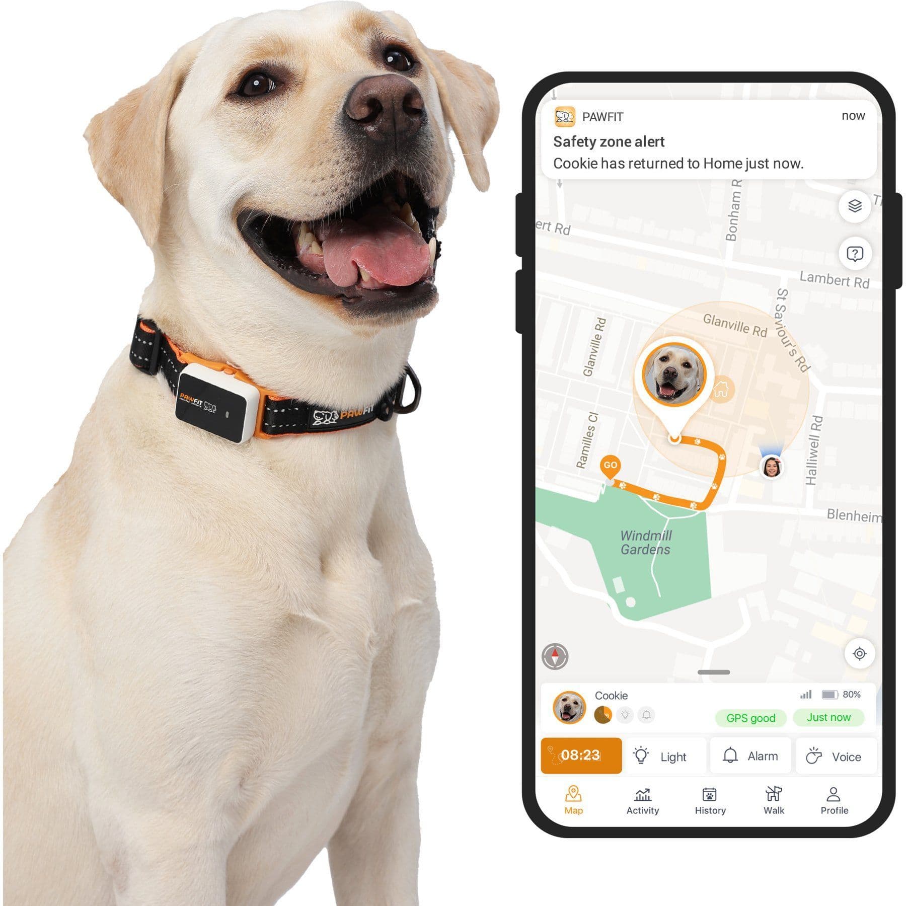 Pawfit 3 Dog GPS Tracker, White