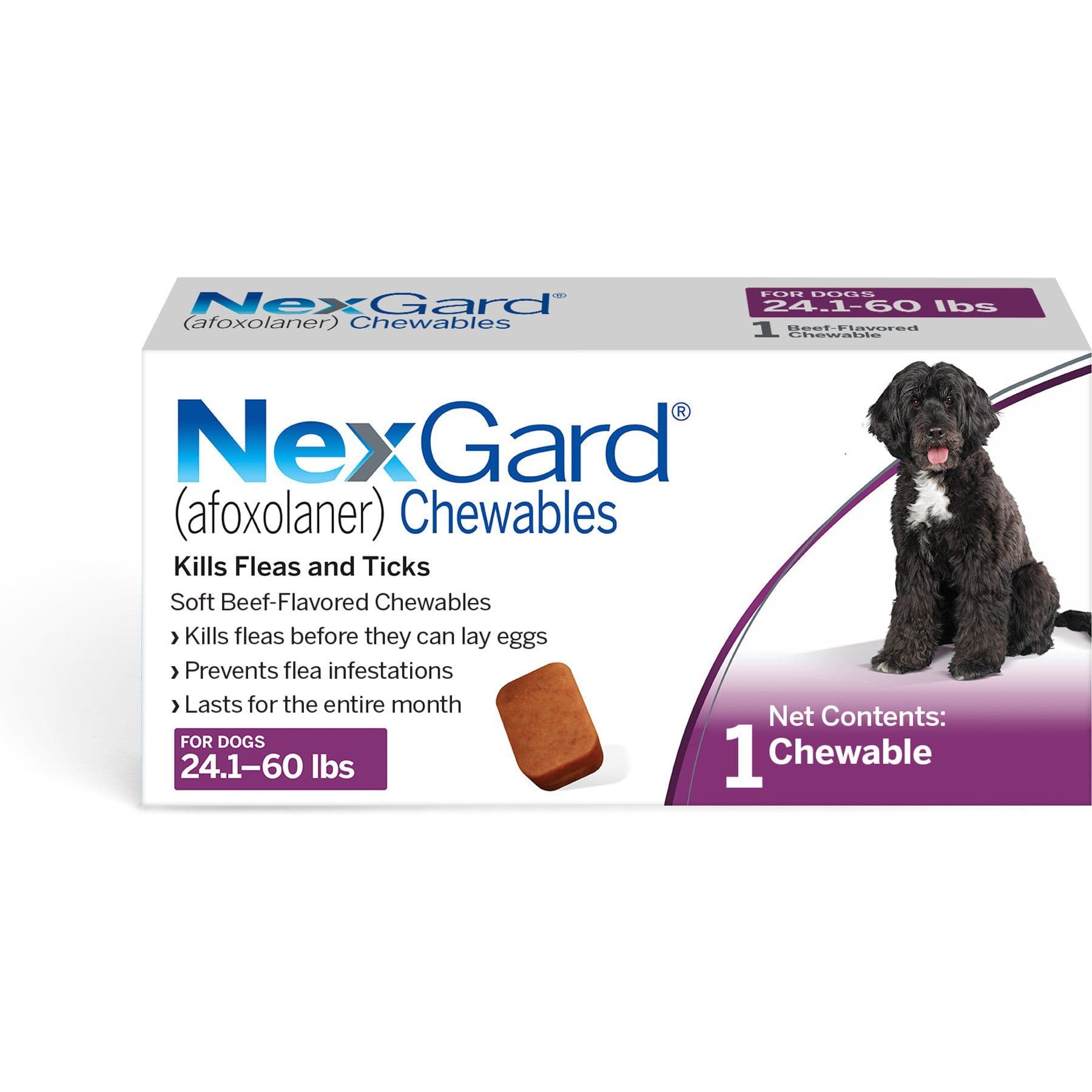 NexGard Chewables for Dogs, 24.1-60 lbs, (Purple Box), 1 Chewable Tablet (1-mo. supply)