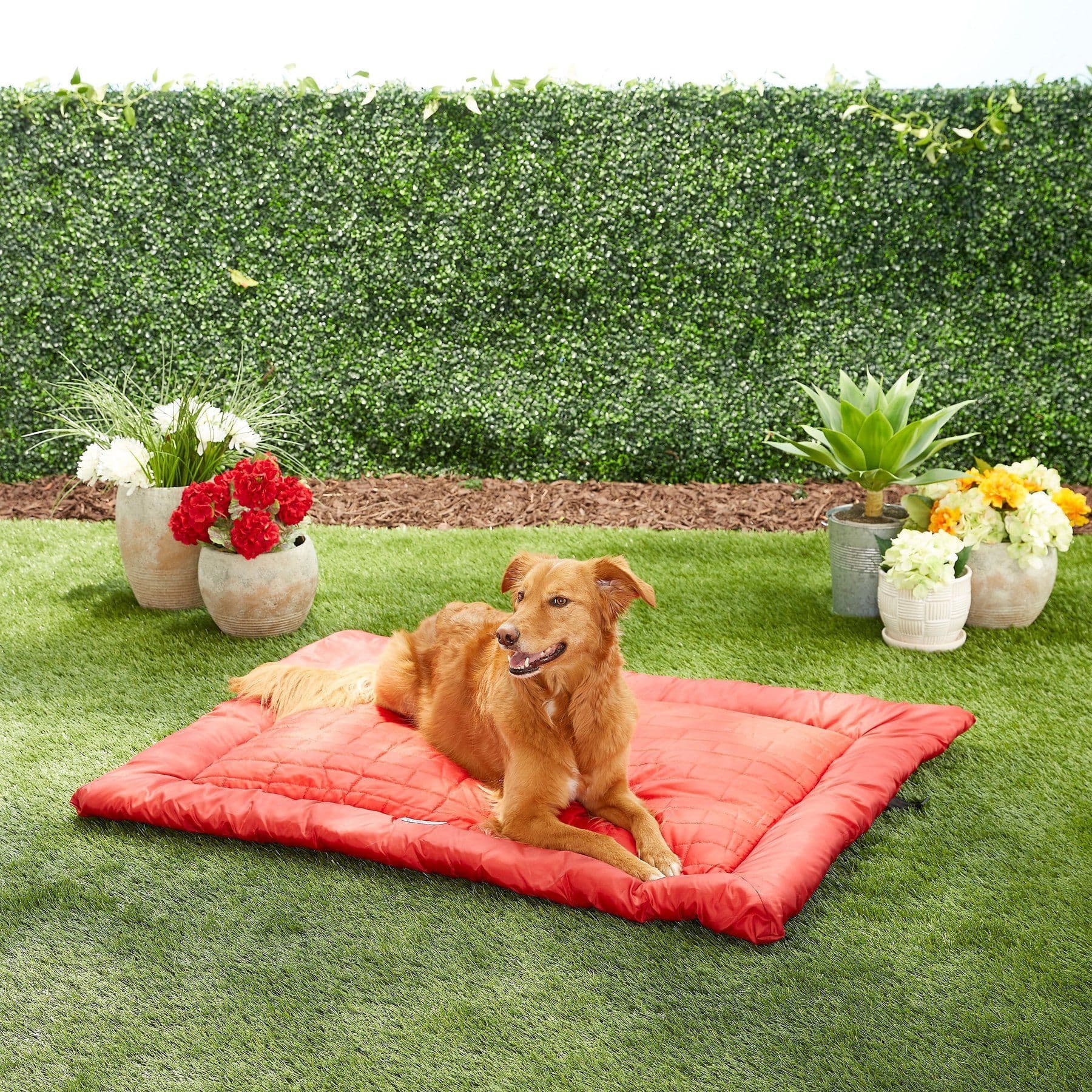Kurgo Loft Wander dog bed in chili red