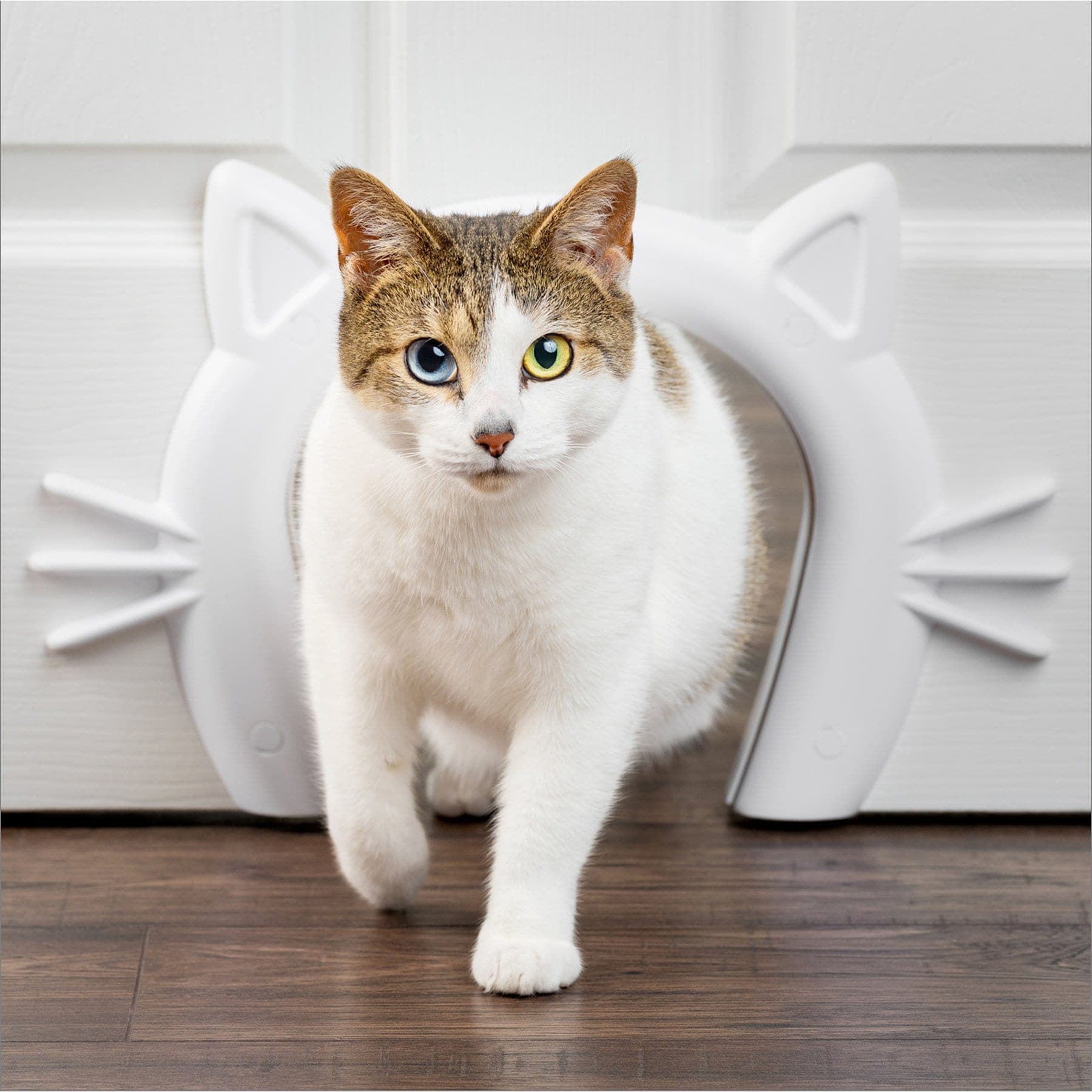 PetSafe Durable Interior Cat Door, Up to 20-lbs, White