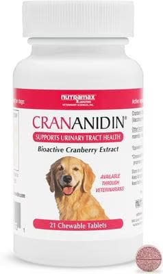 Nutramax Crananidin bioactive cranberry extract chewable tablets urinary supplement for dogs bottle