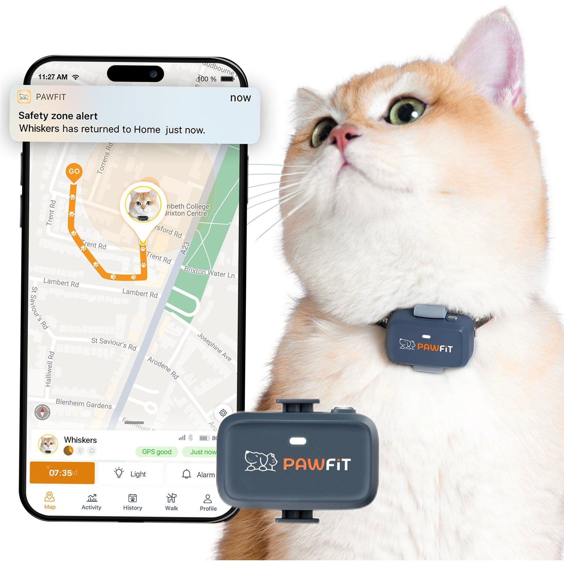 Pawfit Lite Cat GPS Tracker, Charcoal Grey