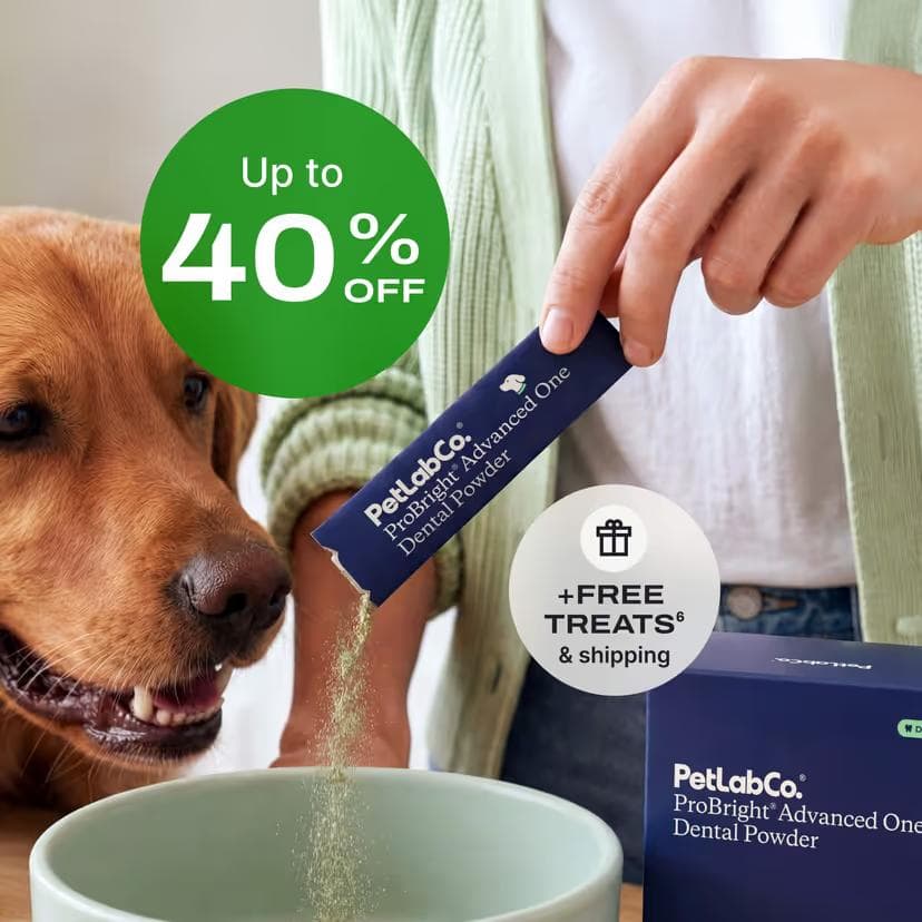 PetLab Co ProBright Advanced One dental powder packet being poured over a dog's food