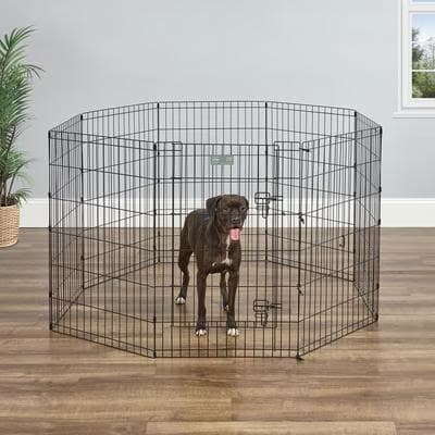 MidWest black e-coat wire dog exercise pen with step-thru door, 36-inch panels set up as an eight-panel enclosure