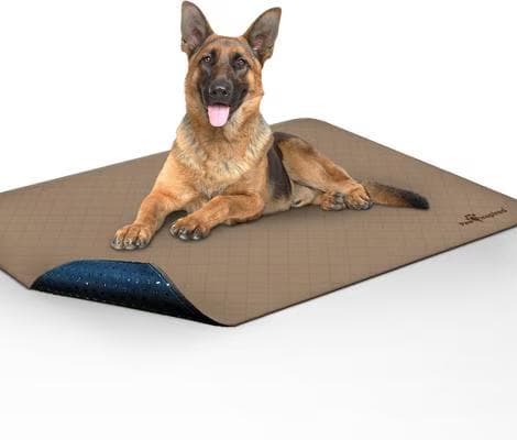 Paw Inspired washable unscented dog pee pad, 48 by 60 inches, with a German shepherd resting on it
