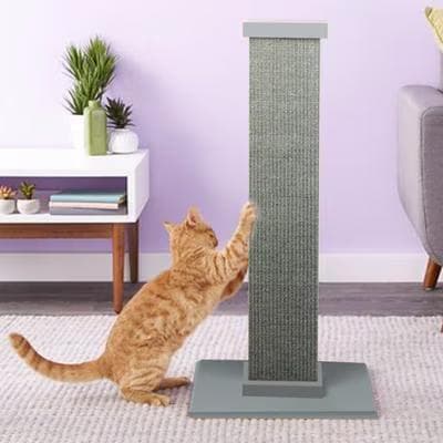 Orange tabby cat stretching up to scratch a tall gray SmartCat sisal scratching post