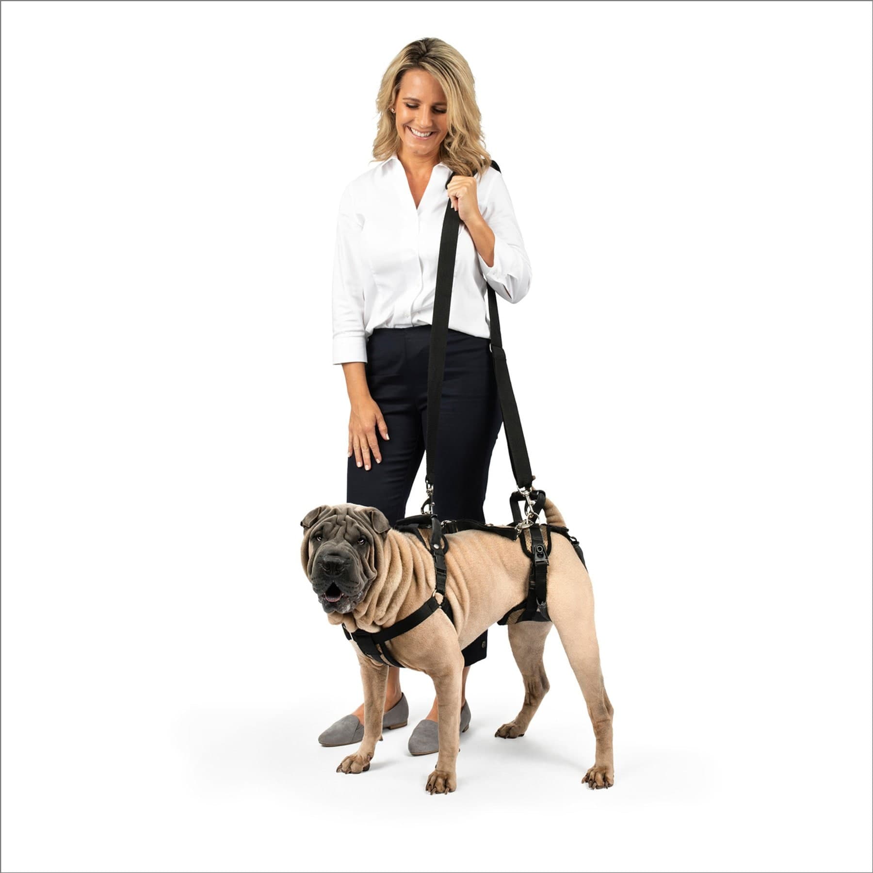 Solvit CareLift Full Front & Back Mobility Harness, Medium, Brown