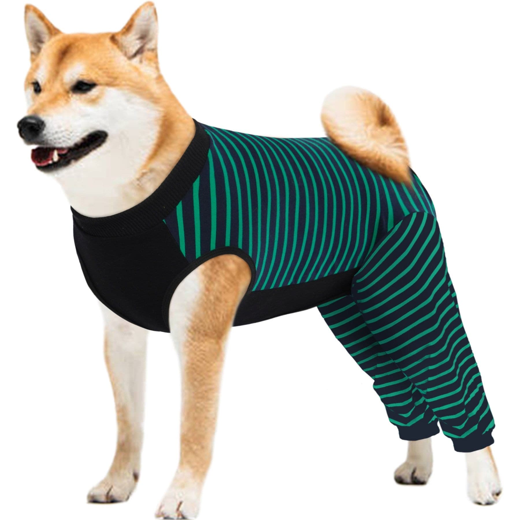 Kuoser Hind Leg Sleeve Dog Recovery Suit, Green, Large