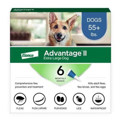 Elanco Advantage II Extra Large Dog flea spot treatment box, 6 monthly doses for dogs over 55 lbs