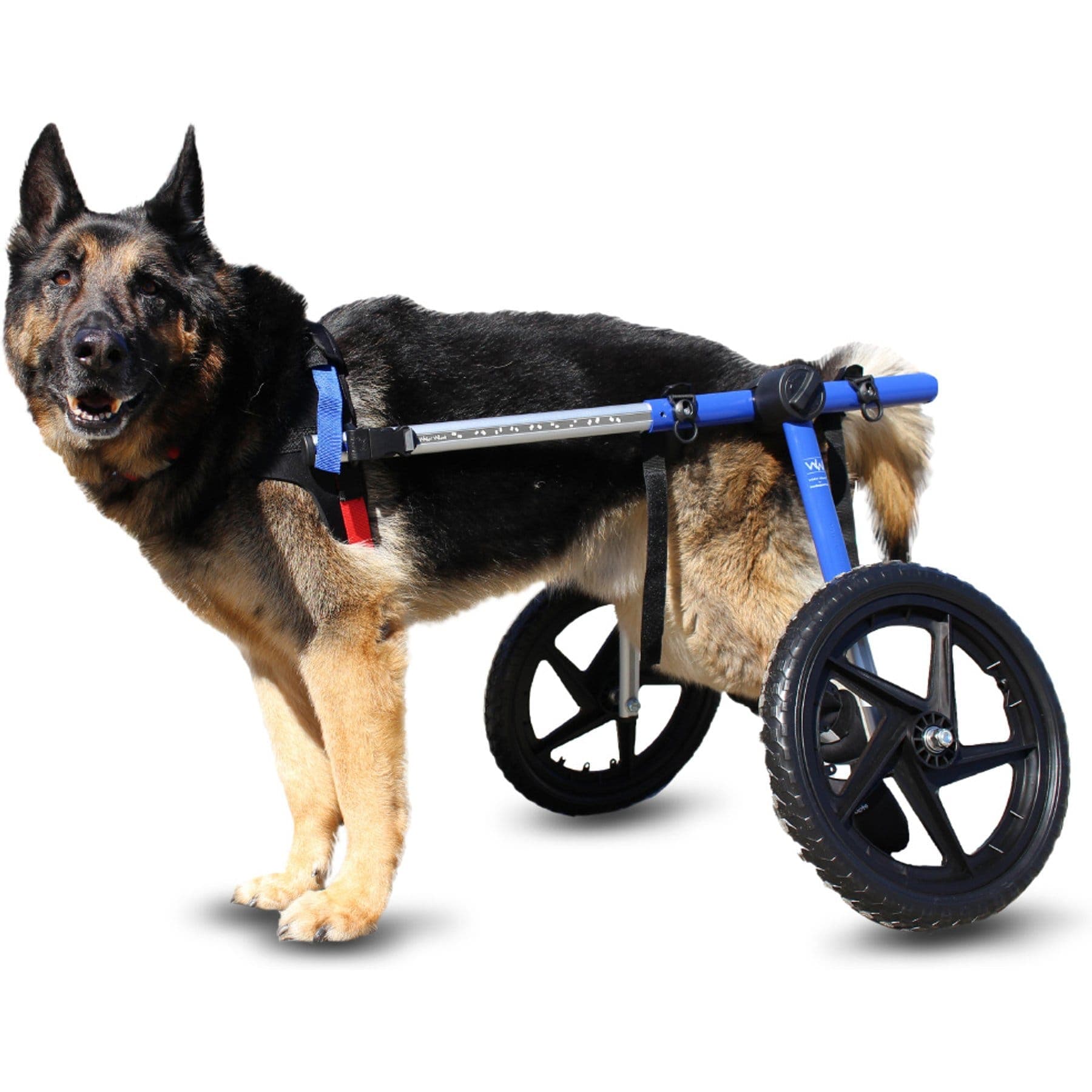 Walkin' Pets Large Dog Wheelchair, Blue, 70-150 lbs, 17-19" leg