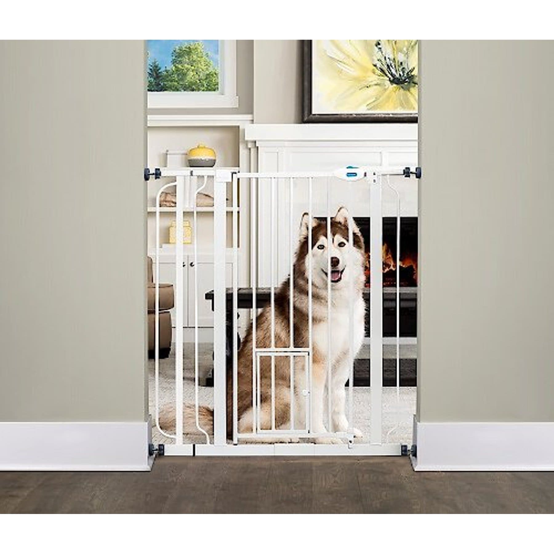 Carlson Pet Products Extra Tall Walk-Thru Gate with Pet Door, 41-in