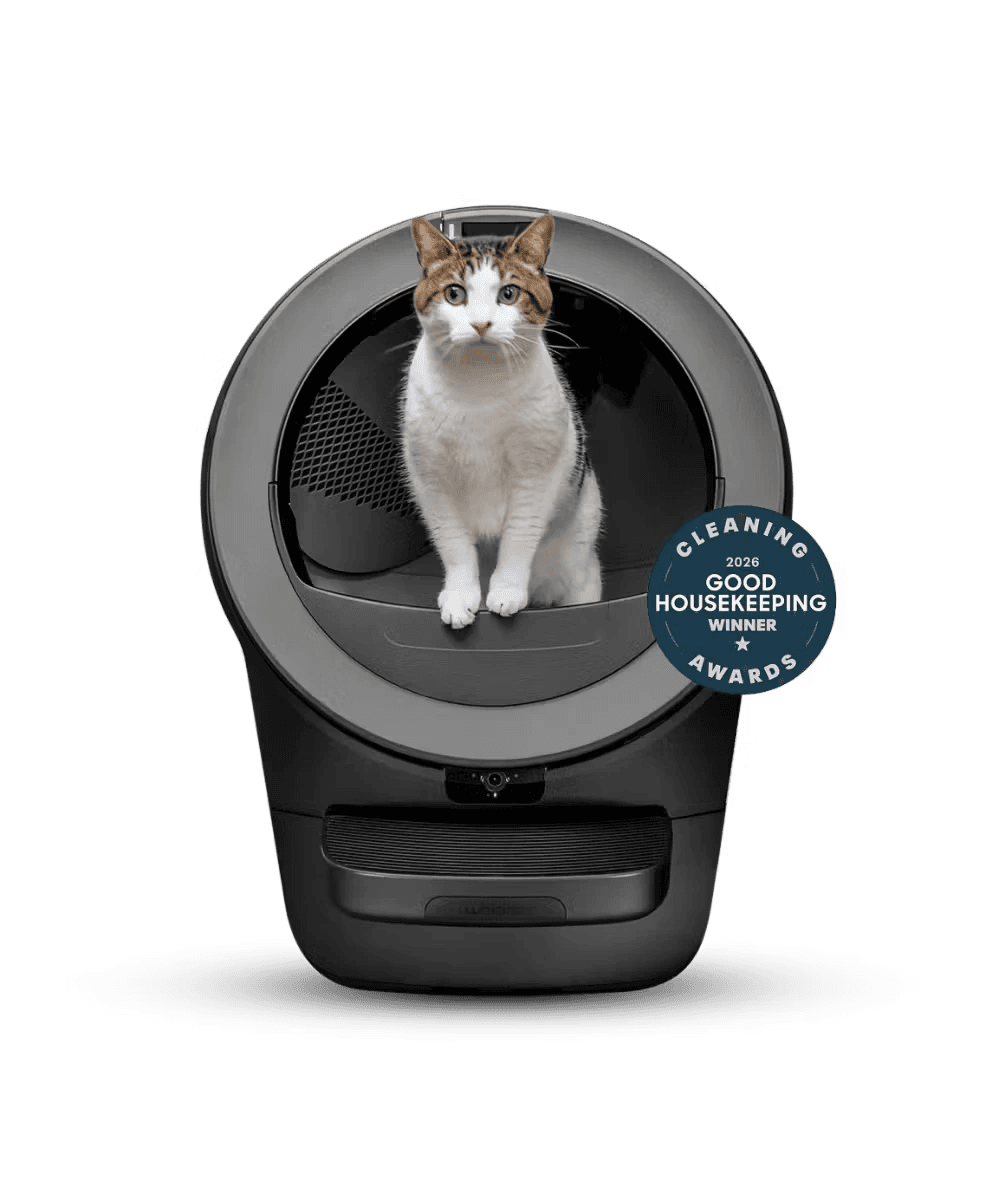 Whisker Litter-Robot self-cleaning automatic cat litter box with a cat sitting inside