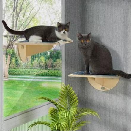 Coziwow natural wood cat window perch with suction cups