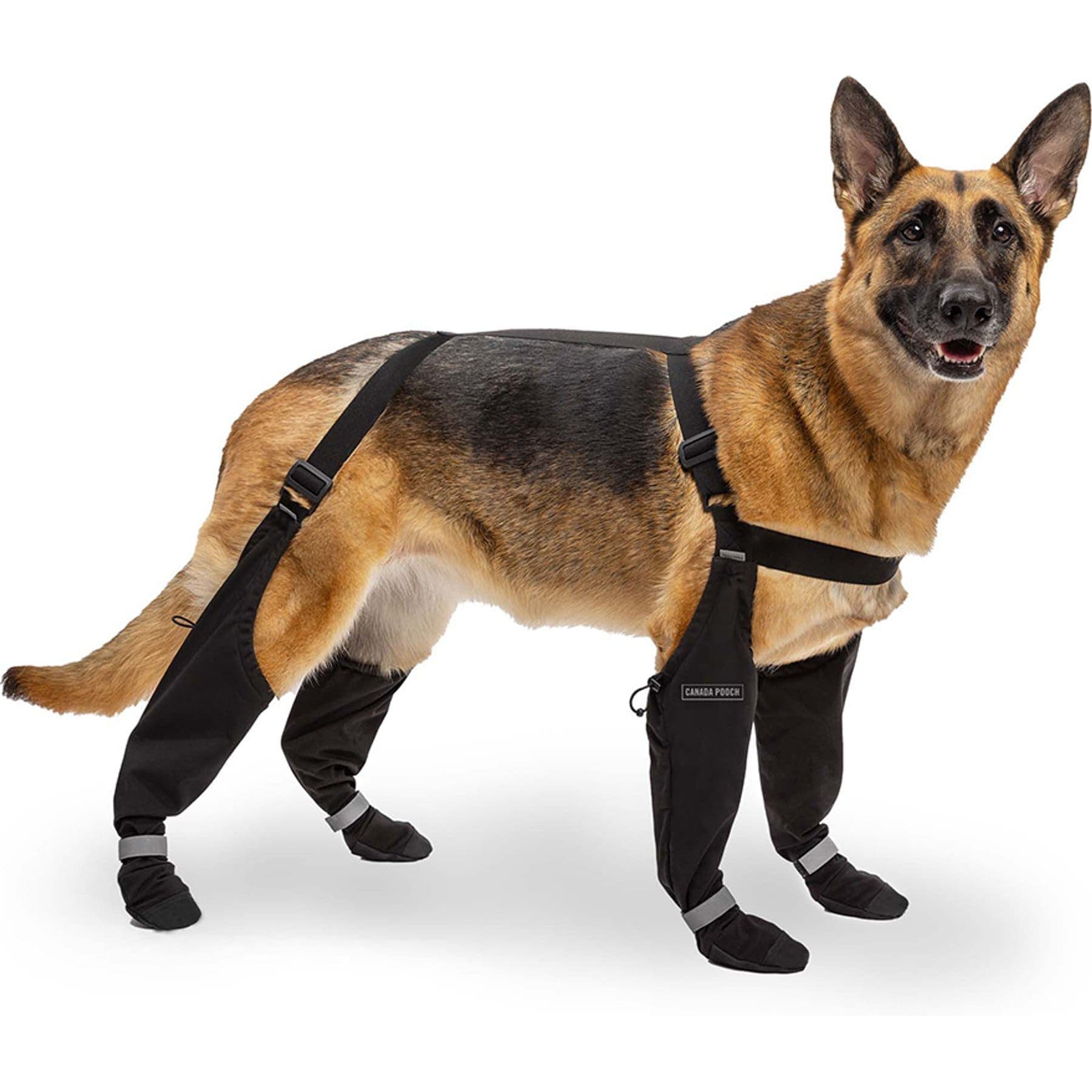 Canada Pooch Suspender Dog Boots, Black, 6 long