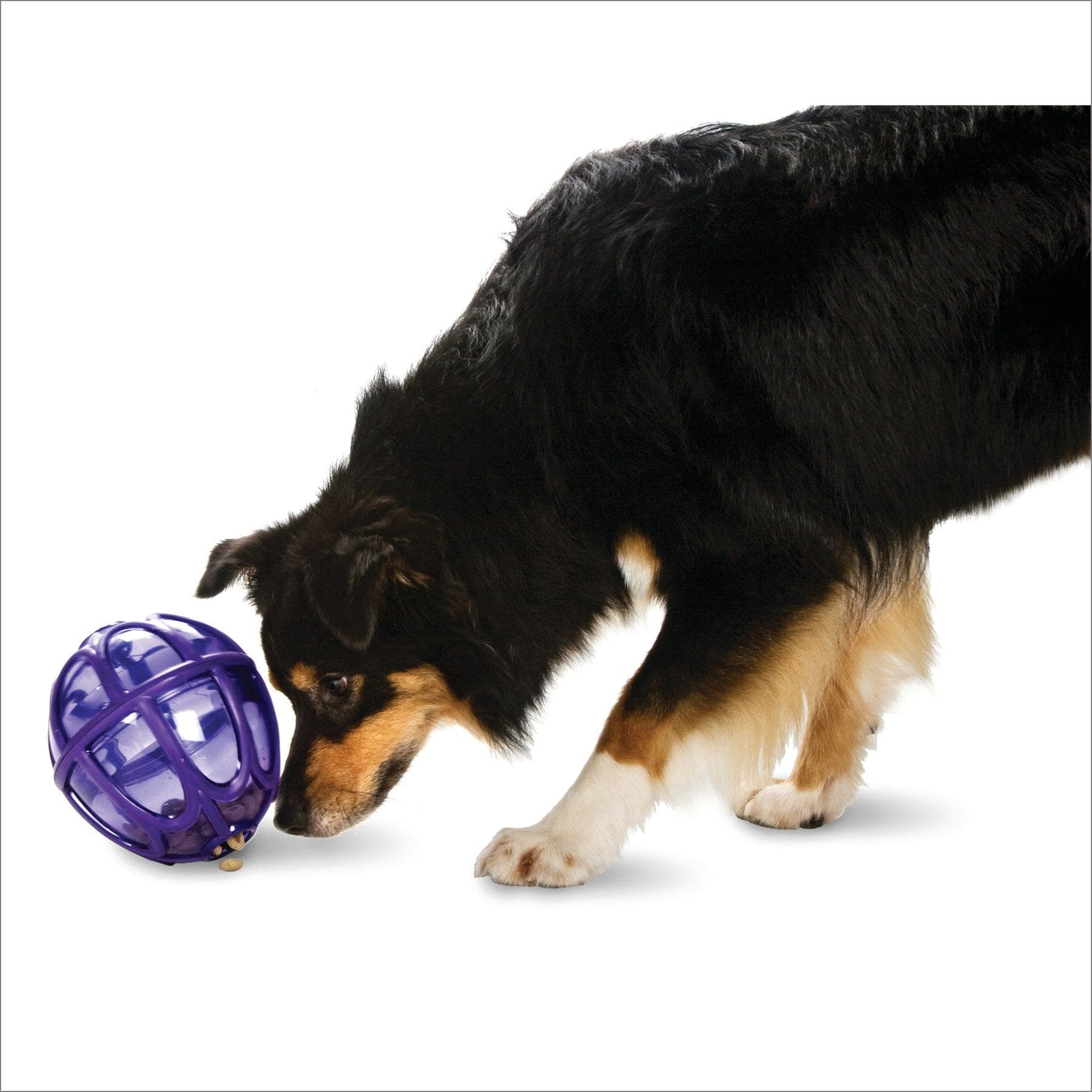 PetSafe Busy Buddy Kibble Nibble Treat Dispenser Dog Toy, Medium/Large